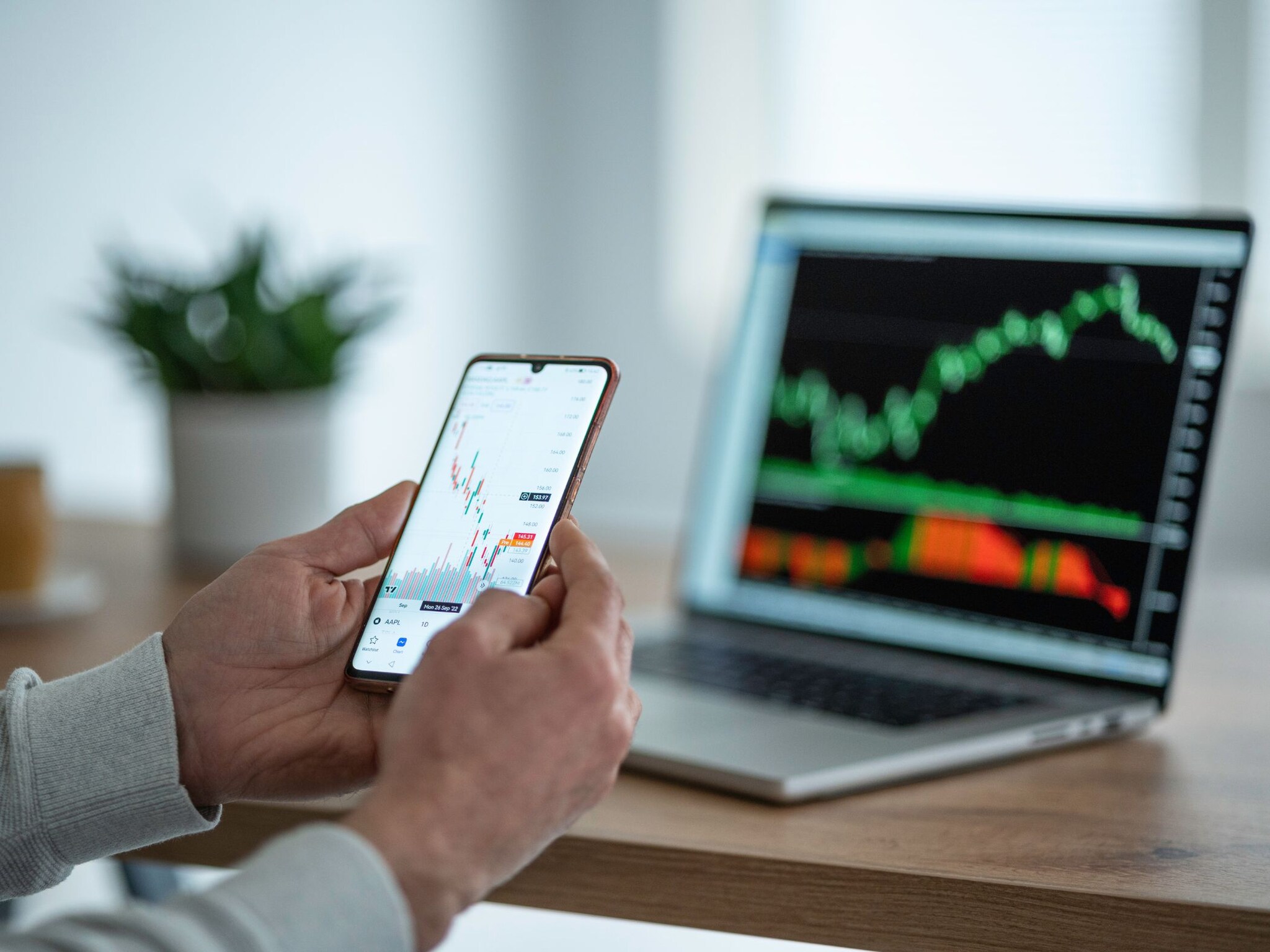 stock market