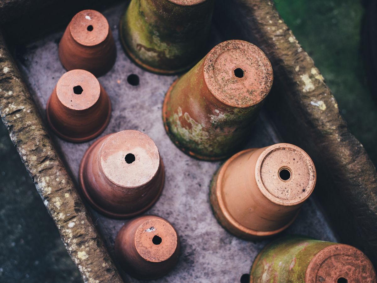 Why Flower Pots Have Holes गमलों में क्यों होता है छेद, क्या जमीन से संपर्क है कारण या कोई