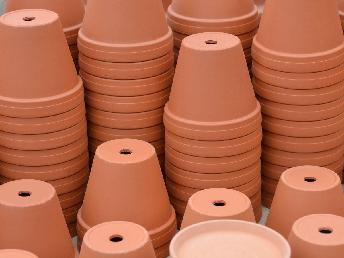 Why Flower Pots Have Holes गमलों में क्यों होता है छेद, क्या जमीन से