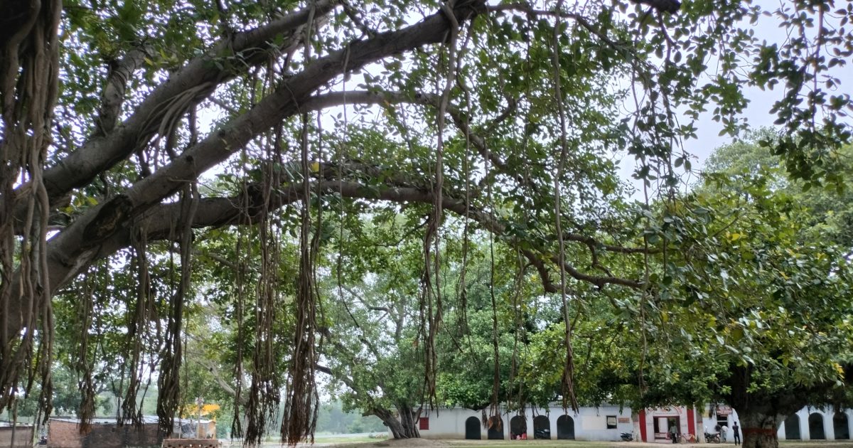 Ajab Gajab: कभी यहां होता था दूल्हों का कैंपस सेलेक्शन, पंजीकार करते थे  गोत्र का मिलान, जानें जगह समेत सबकुछ - Ajab Gajab News grooms campus  selection held in Mithila State ...