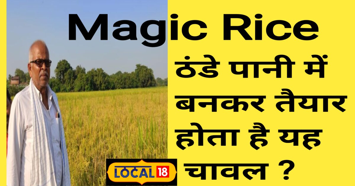 बिहार में यहां उगाये जा रहे 'जादुई' चावल! गर्म नहीं.. ठंडे पानी में ...