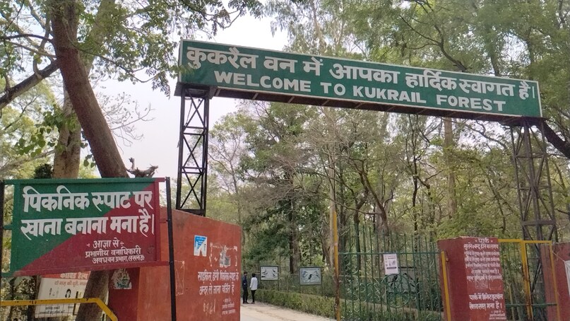 अलग अलग प्रजाति के घड़ियाल भि देख सकते है