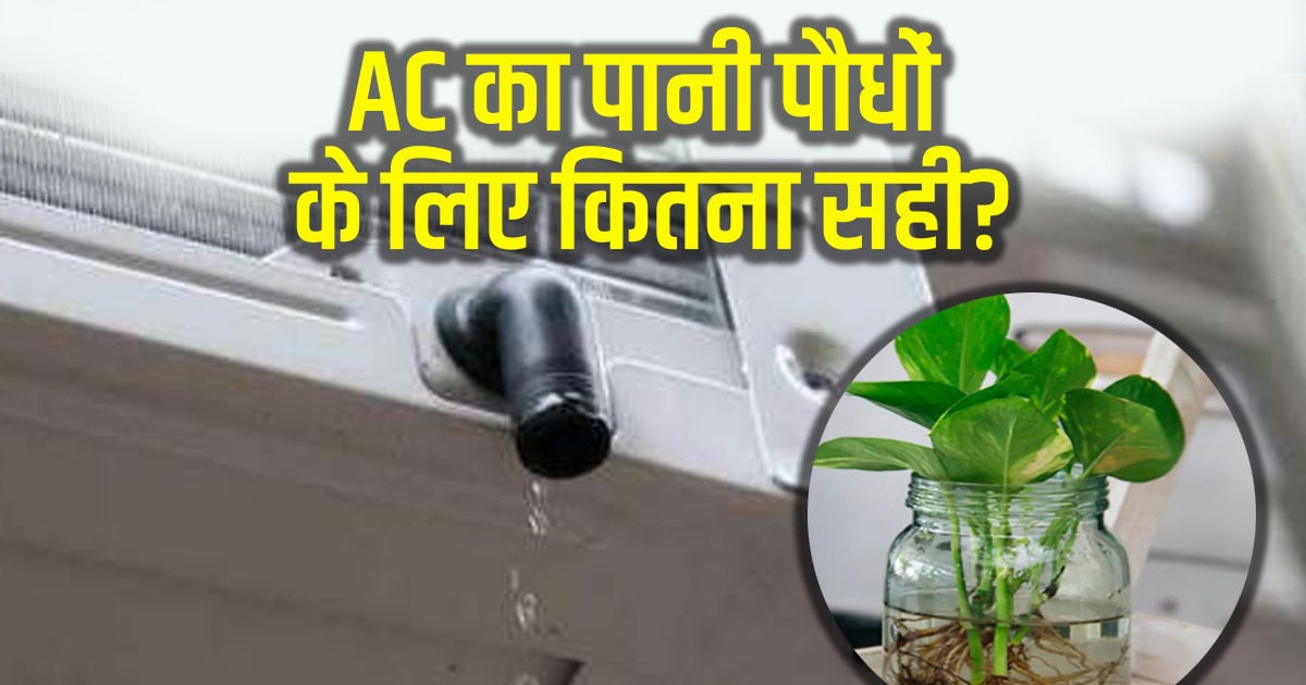 Can we use air conditioner water to water plants know the truth