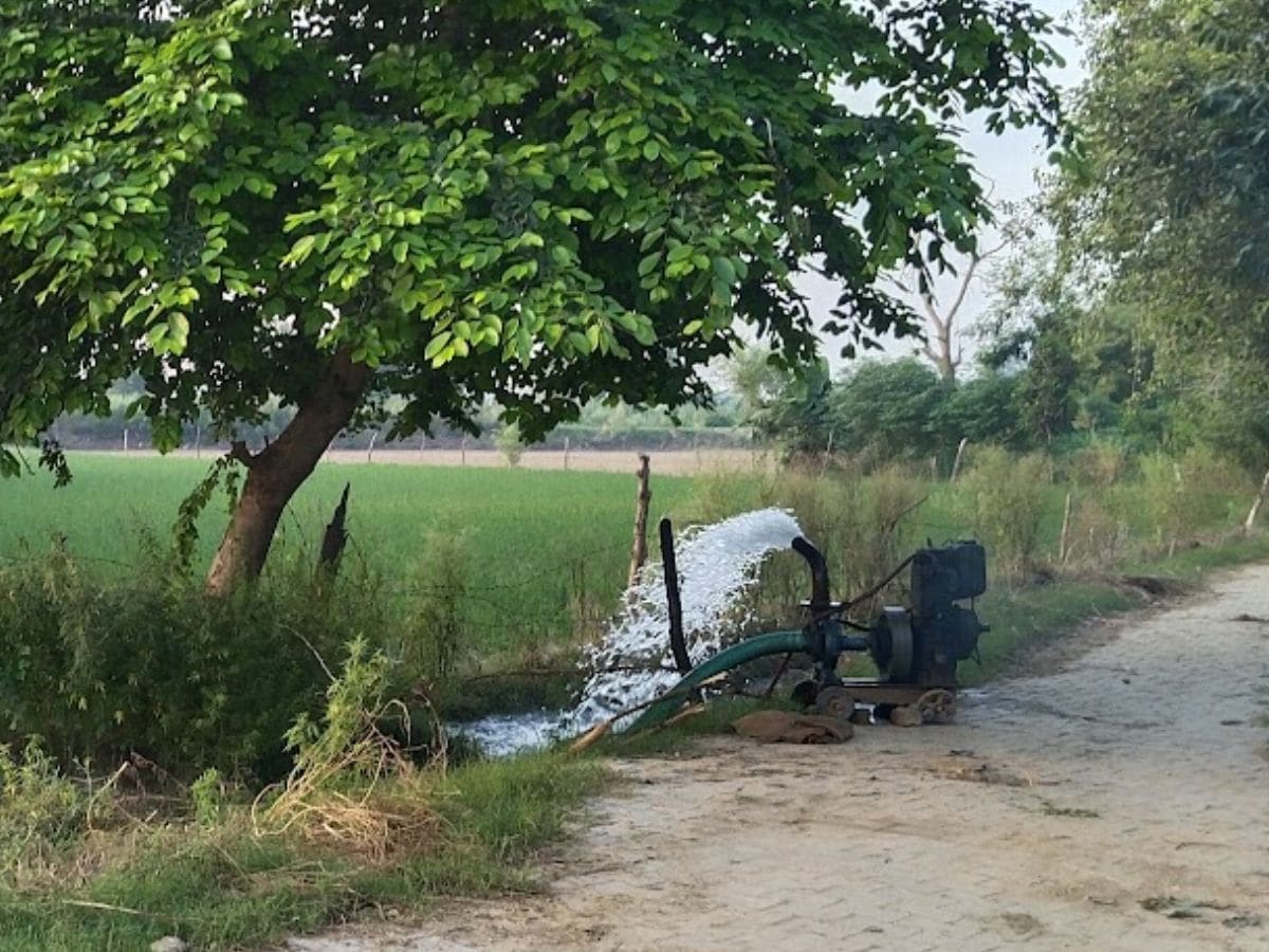 Yamuna Flood, Flood in Yamuna, Flood in Mathura, Mathura News, Paddy Farmer, Paddy Crop, Drought in Mathura, Delhi Flood News, Agriculture News, Farmers News, Mukhrai Village, Mukhrai Gaon, Mukhrai Mathura, Vrindavan News, Bihari Ji Mandir Timing, Banke Bihari Mandir Vrindavan, Banke Bihari Temple, Yamuna River,  