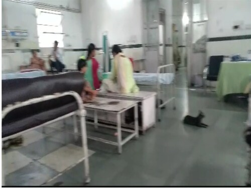 dengue news, health news in delhi-ncr, opd news, health news, Dengue News, Dengue in delhi, Dengue in delhi-ncr, Dengue fever, what is dengue fever, symptoms of dengue, measures to prevent dengue, how to increase platelets in dengue, number of platelets in dengue, डेंगू बुखार, क्या है डेंगू बुखार, डेंगू के लक्षण, डेंगू से बचाव के उपाय, डेंगू में प्लेटलेट्स कैसे बढ़ाएं, डेंगू में प्लेटलेट्स की संख्या, सांस के मरीज कैसे स्वस्थ्य रहें, मलेरिया के लक्षण