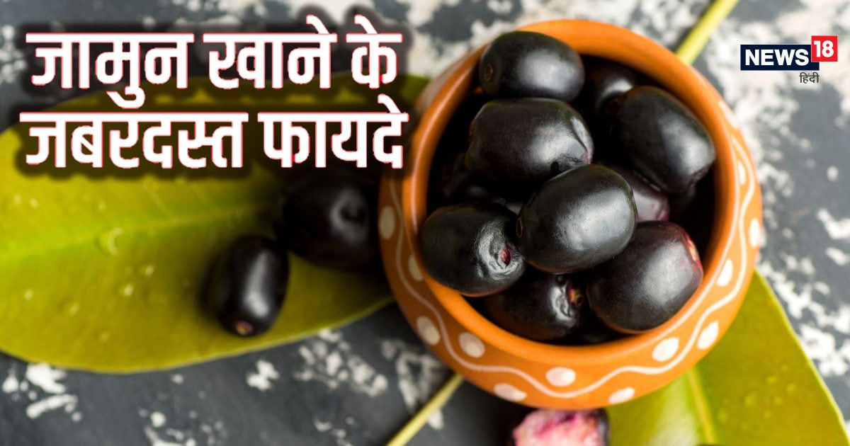 इम्‍यूनिटी बढ़ाने से लेकर डायबिटीज तक, जान लें जामुन खाने के 5 जादुई