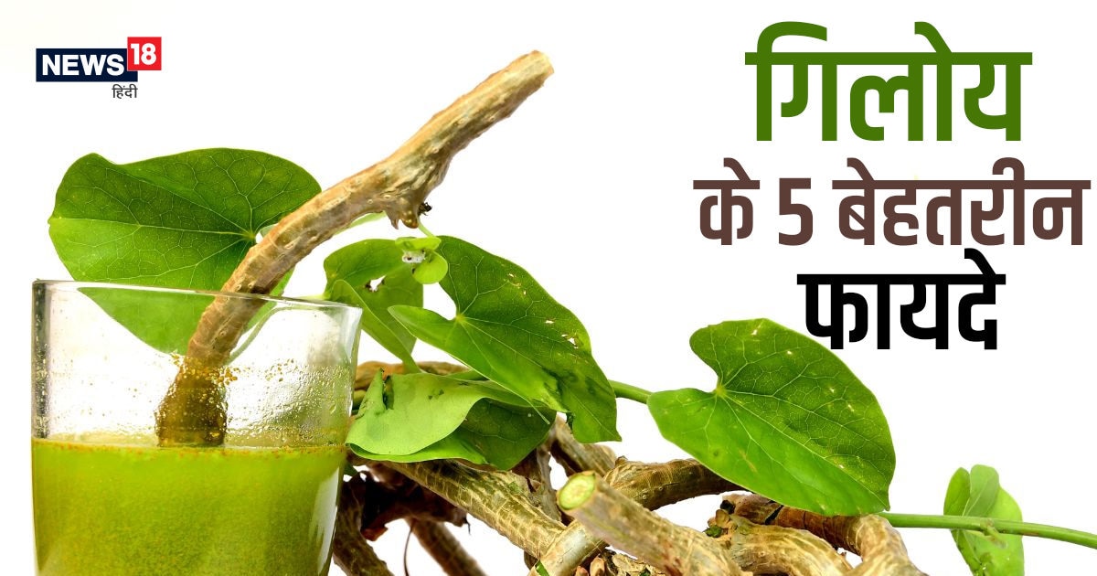 नसों में जमी गंदगी की सफाई करेगा इस हरे पत्ते का अर्क, कोलेस्ट्रॉल की