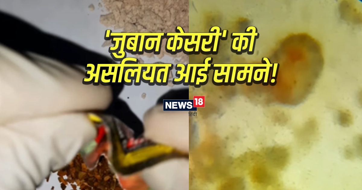 क्या आप भी शान से चबाते हैं गुटका? शख्स ने दिखाई एक चुटकी की असलियत, मिली खौफनाक चीज Gutka