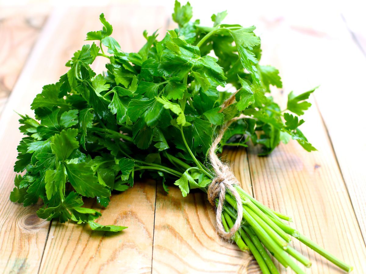 parsley