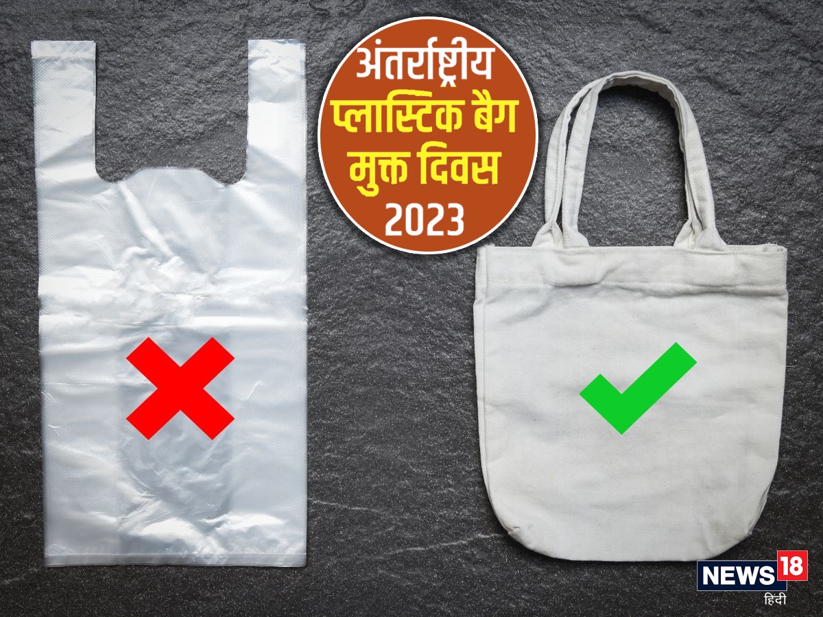 10 Lines on Plastic Bag And Its Harmful Effects for Students and Children  in English - A Plus Topper