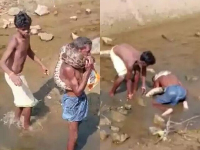 अजगर को माला की तरह गर्दन में लपेटा, सांप ने दिखाई ताकत तो जान पर आई ...