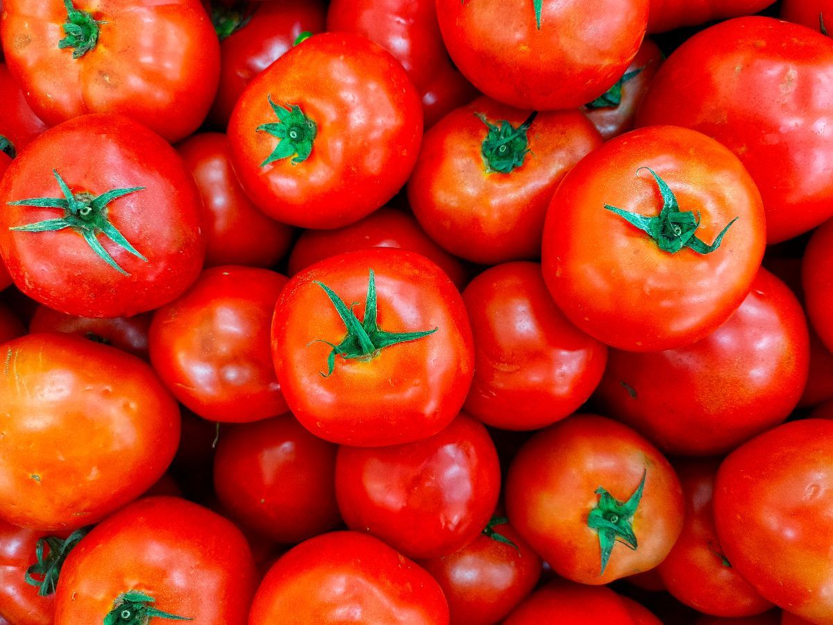 स्वाद का सफ़रनामा विदेशी टमाटर के सब हैं दीवाने, महंगा होने के बाद भी