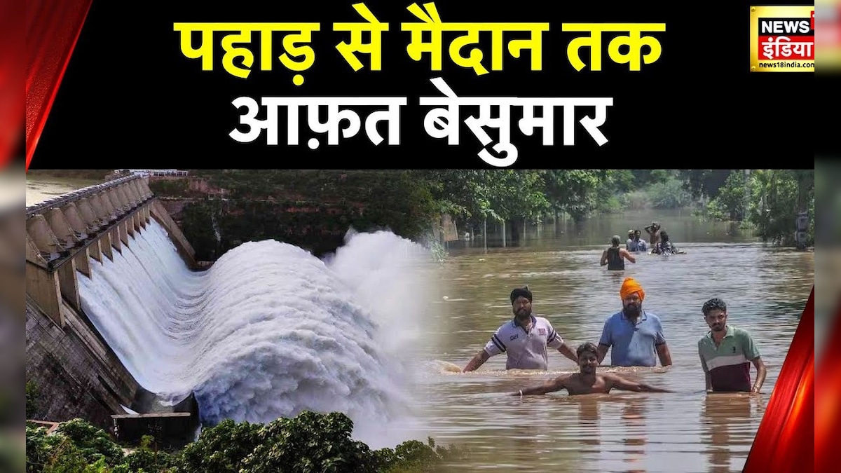 Punjab Flood : पंजाब के कई गांव पानी में समाए, Pong Dam से पानी छोड़ने से बिगड़े हालात | News18 india