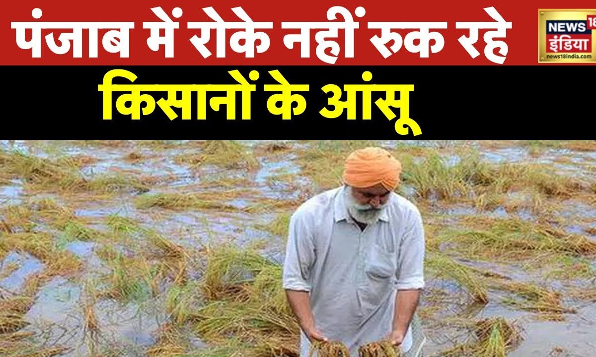 Punjab Flood: पंजाब के कई इलाकों में बाढ़ जैसे हालात, लोग घरों की छतों पर पनाह लेने को मजबूर| News18