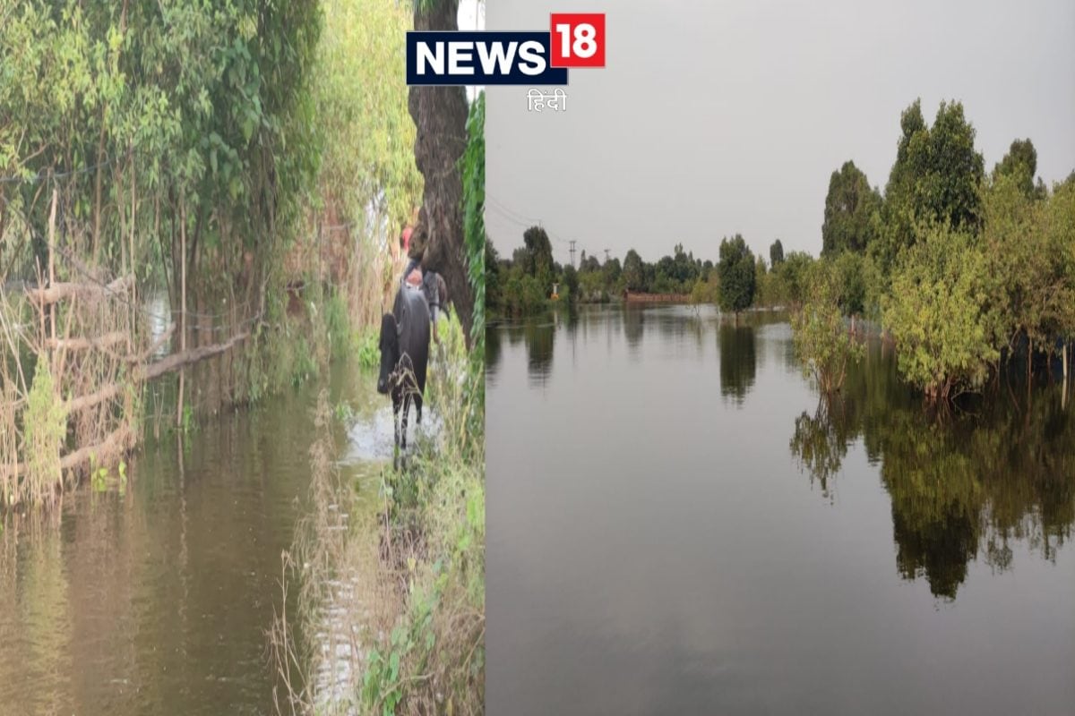 कानपुर में उफनाई गंगा, चपेट में आए एक दर्जन से अधिक गांव, लोग पलायन को मजबूर