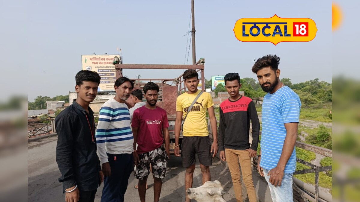 दुर्घटना ग्रस्त और बीमार पशुओं के लिए देवदूत बने इस संस्था के लोग, बेजुबानों की सेवा को बनाया अपना फर्ज