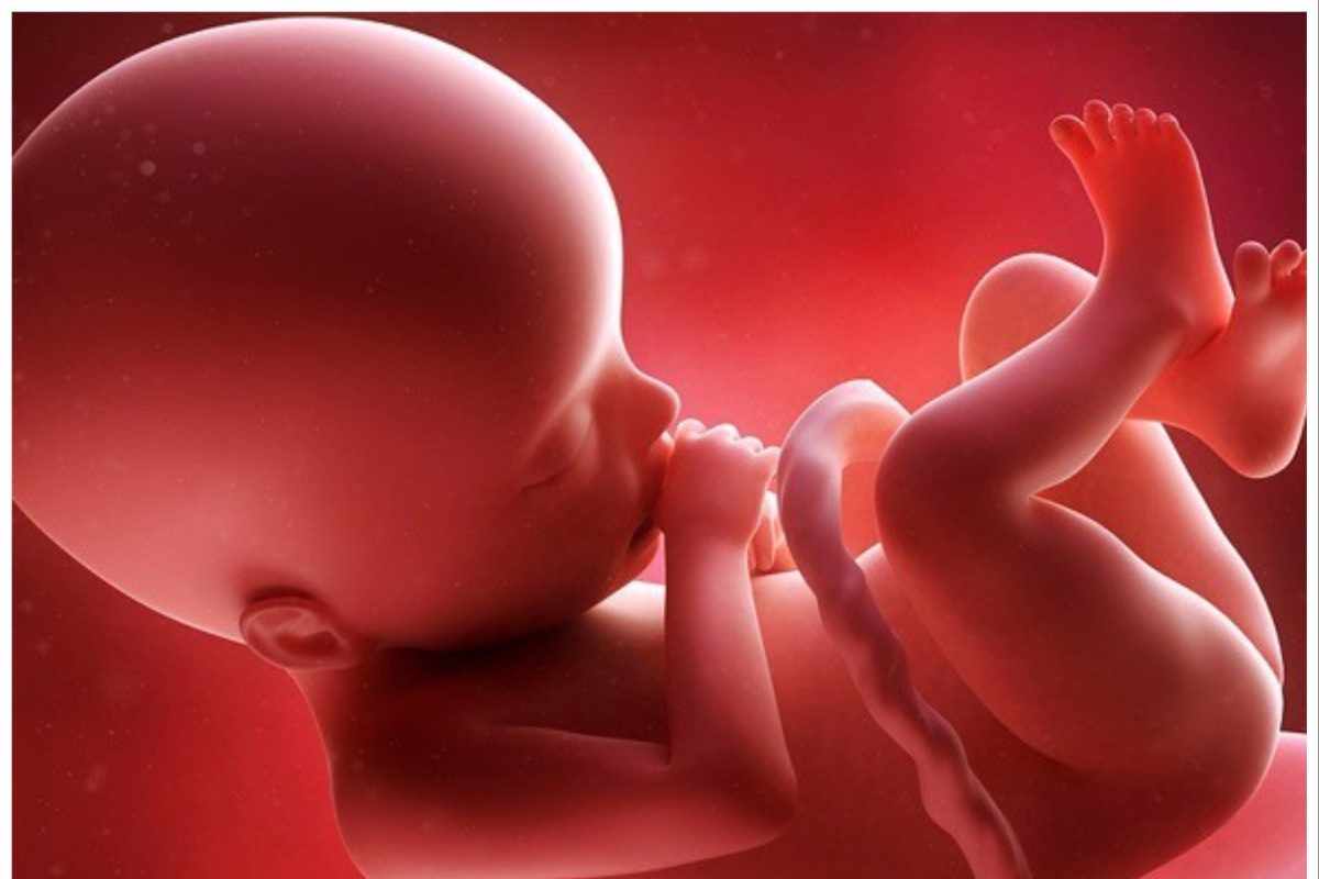 Шум в утробе матери. Антенатальная гипоксия плода. Внутриутробная асфиксия плода. Малыш в утробе матери.