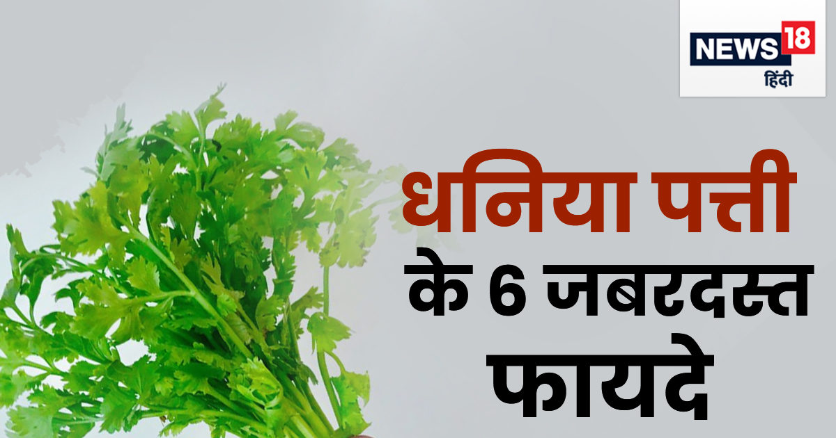 सुबह खाली पेट चबाकर खाएं ये हरी पत्तियां, इन 6 गंभीर बीमारियों से होगा
