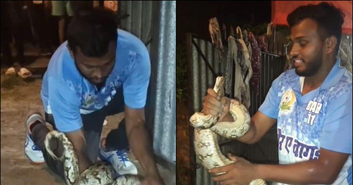 अजगर के साथ शख्स की जबरदस्त लड़ाई, उसने ऐसे दबोचा सांप का मुंह… VIDEO ...