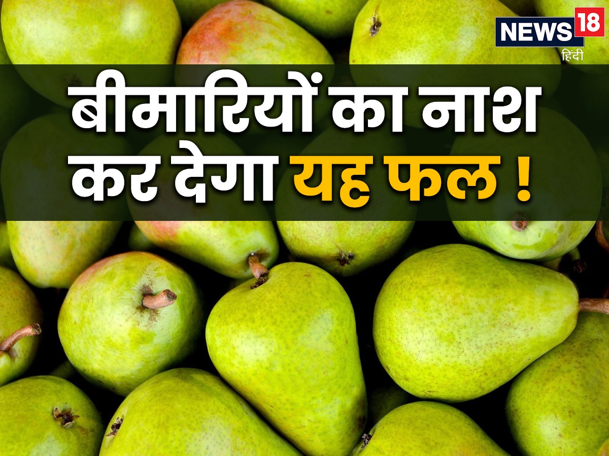 शरीर के लिए 'अमृत' है बरसात का यह फल, डायबिटीज से बचाने में कारगर, एक बार खाएंगे तो गिनते रह जाएंगे फायदे - 5 surprising benefits of pear fruit reduce risk of
