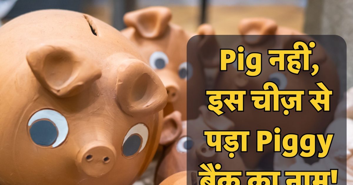 गुल्लक को क्यों कहते हैं Piggy बैंक, सुअर तो बाद में आया, ये है नाम की