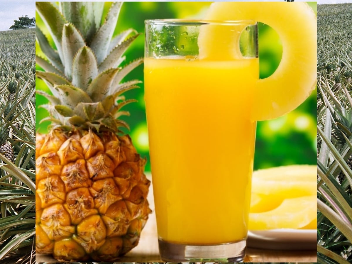 Which fruit eats human flesh, fruits facts, health news, knowledge news in Hindi, how pineapple works in human body, how pineapple eat human flesh, what is bad flesh, Engymes, Protein, Muscles, Energy, obesity, Acidity, digestion system, Pineapple Juice, Pineapple slice