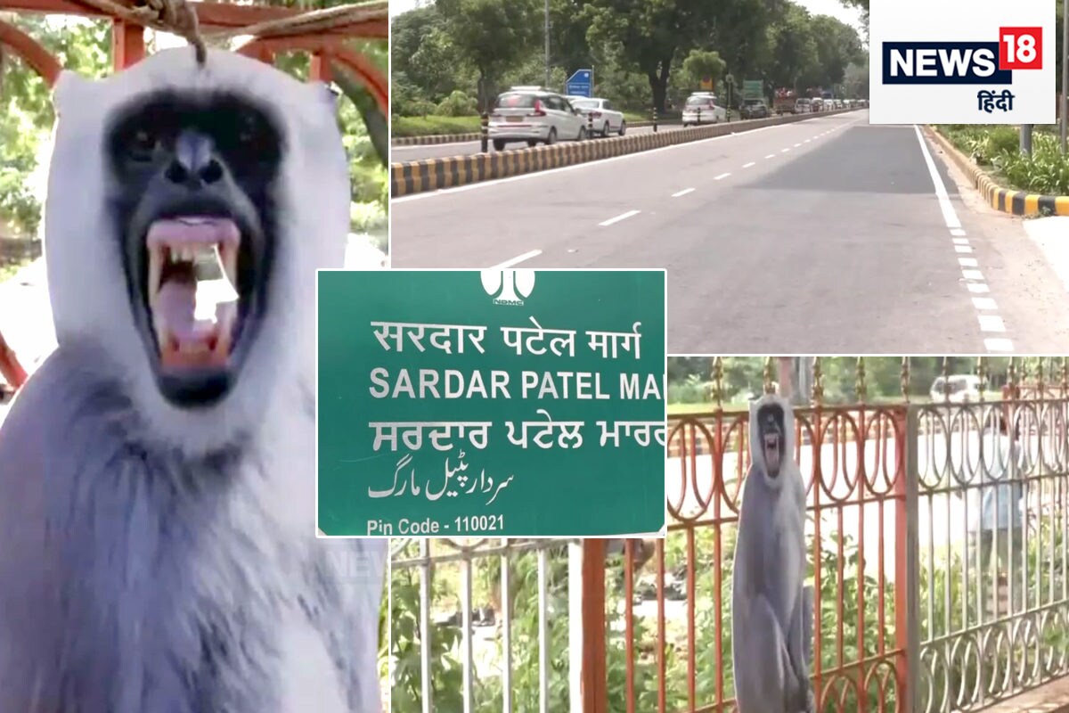 Pin by The Inside Khabar on funny hindi jokes!