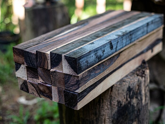 African blackwood tree farming earn 7 lakh from 1kg wood one tree can