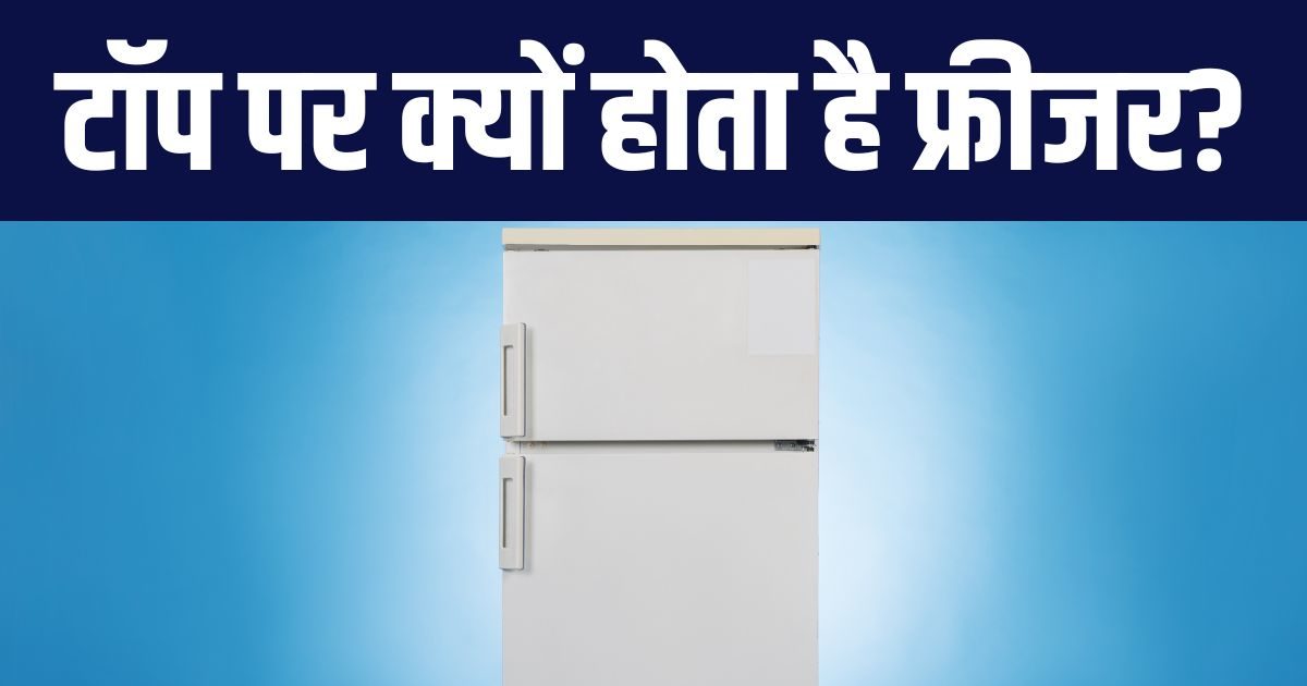 why freezers are placed at the top of refrigerator News18 हिंदी