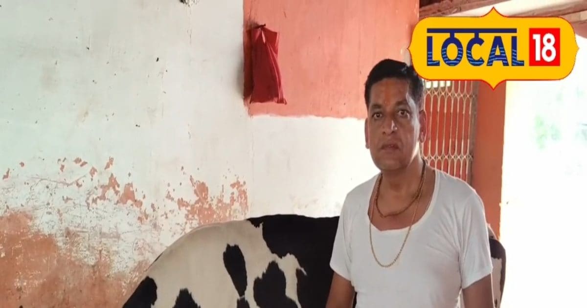 What is the difference between constable and subinspector, who is more