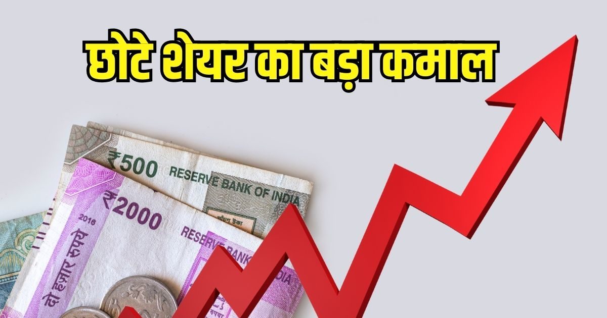 multibagger stock canva