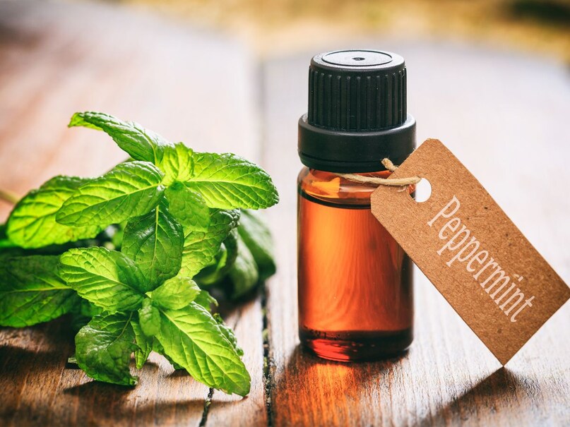 peppermint oil