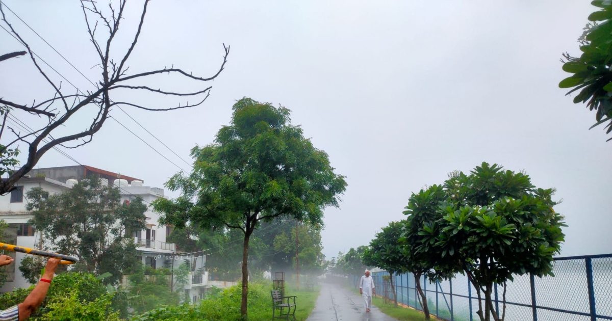 Trees In Rishikesh Marine drive in rishikesh is a very peaceful place surrounded with ...