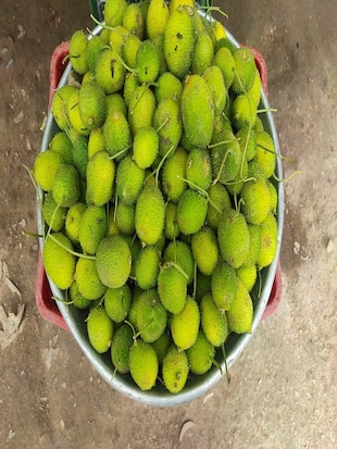 यह सब्जी सेहत के लिए है रामबाण