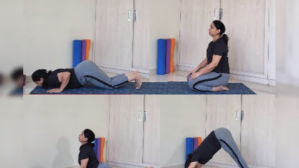 Yoga Session: रोज सही क्रम से करें 4 योगाभ्‍यास, तेजी से पिघलने लगेगी शरीर की चर्बी, फिटनेस होगी बेहतर