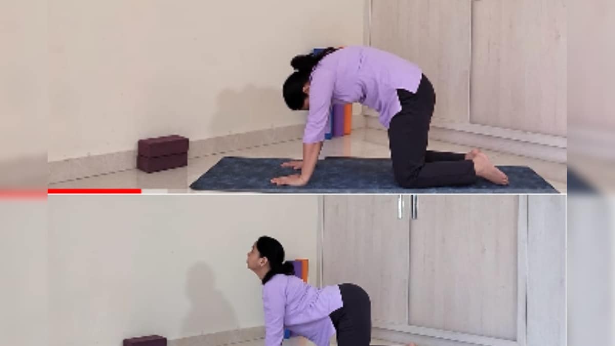 Yoga Session: रोज सुबह करें ये 2 आसन, शरीर की अकड़न-जकड़न होगी दूर, नहीं रहेगा खिंचाव का डर