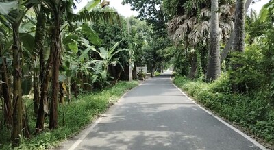 डॉक्टरों की फैक्ट्री है बिहार का यह गांव, 1, 2 नहीं, अबतक 45 लोग डॉक्टर  बनकर दे रहे हैं देश भर में सेवा - This village of bihar is a factory of