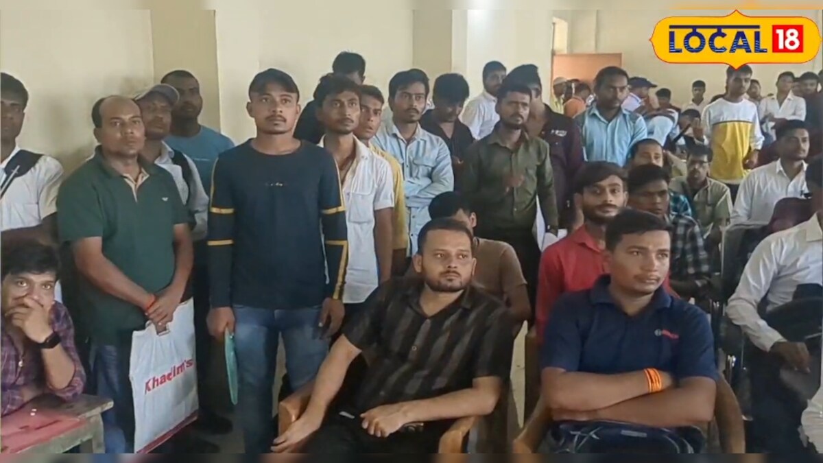 Job News: 19 सितंबर को बेगूसराय में यहां लगेगा रोजगार मेला, 50 युवाओं को मिलेगी जॉब
