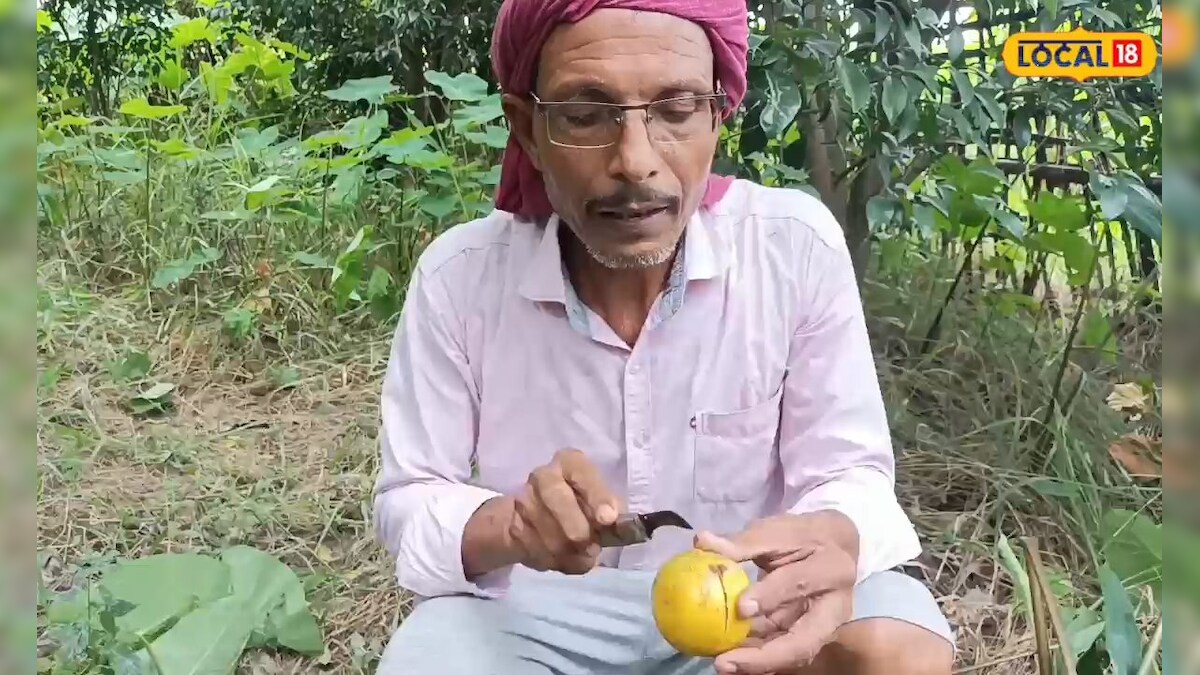 किसानों के लिए मुनाफे का सौदा है ये खेती, एक बार लगाने के बाद 25 साल तक होगी बंपर कमाई