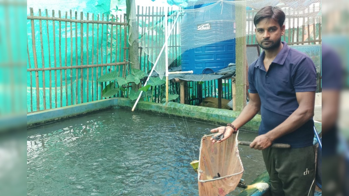 इस शख्स ने शुरू किया रंगीन मछली पालन, तो चल पड़ा काम, आज रोजाना हो रही हजारों की कमाई
