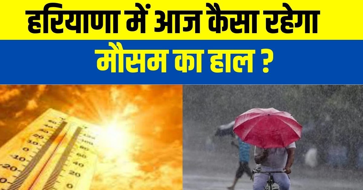 Haryana Weather Update: हरियाणा में गुलाबी ठंड ने दी दस्तक, जानें अब ...
