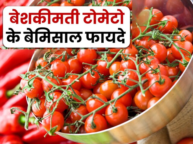 इस अनोखे किस्म के टमाटर में है दमदार औषधीय शक्ति, हार्ट मरीजों के लिए अमृत समान, 5 बड़ी बीमारियों में रामबाण - health benefits of cherry tomatoes protect heart health ...