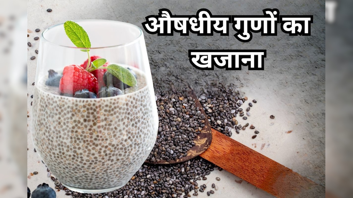 गोल-मटोल इस बारीक दाने को दूध में भिगो दीजिए और सुबह कीजिए सेवन, फिर देखिए कमाल, सेहत के लिए बनेगा गेमचेंजर