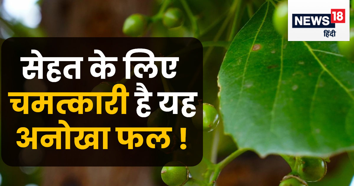 शरीर के लिए अमृत है यह जंगली फल, साल में सिर्फ 2 महीने के लिए आता है