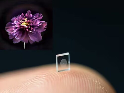 World's Smallest Commercial Camera, Smallest Commercial Camera, Camera in Size of a Grain of Salt, Camera, Microscopic camera, Science, Smallest Camera, Latest Science News, New Research of Science, US Scientists Present Smallest Camera, Salt Grain Sized Camera, High Definition Pictures