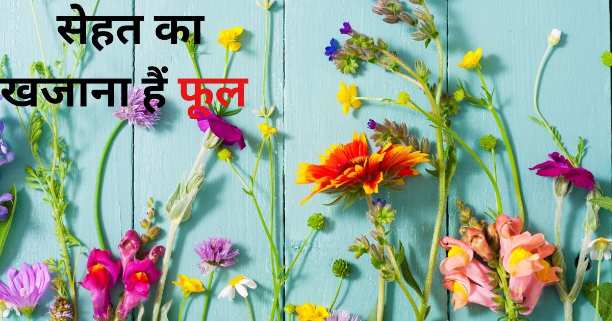 केवल सजावट के लिए ही नहीं, सेहत के लिए भी बेमिसाल हैं 6 फूल, हमेशा