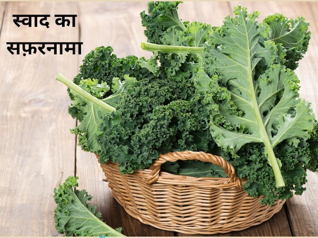 दिमाग दुरुस्त रखता है केल का साग, आंखों की रोशनी भी बढ़ाए, पढ़ें रोचक इतिहास दिमाग दुरुस्त रखता है केल का साग, आंखों की रोशनी भी बढ़ाए, पढ़ें रोचक इतिहास