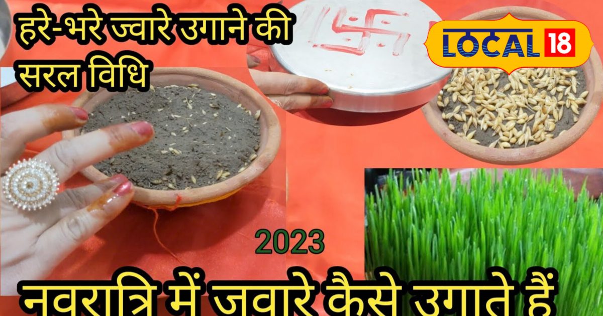 Navratri 2023: ज्वार में छिपे हैं माता की कृपा के संकेत, बोते समय इन ...