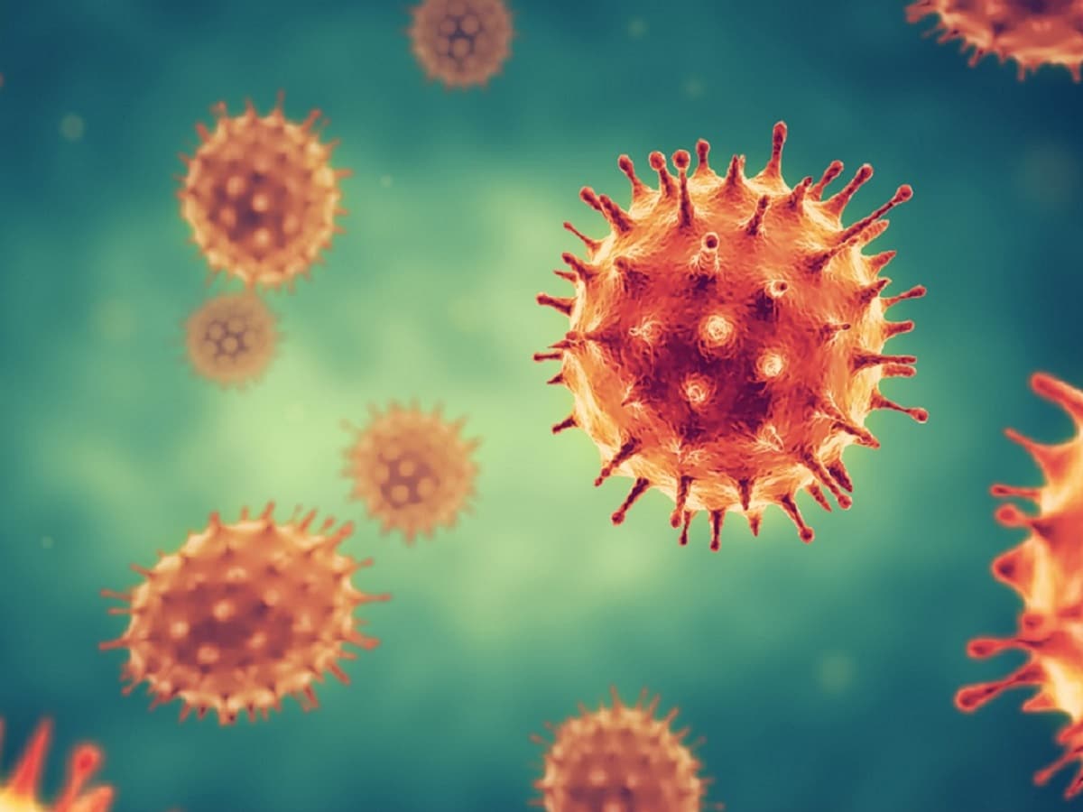 Covid19 JN.1 Variant, Coronavirus Update, Coronavirus ALERT, Covid deaths, Covid Cases In India Today, Coronavirus Cases In India Latest News, Covid Coronavirus News In Hindi, Corona News In Hindi, Coronavirus India, Coronavirus India Cases, Coronavirus Cases in India, Covid 19 India, Covid 19 Cases in India, Covid 19 India Cases, Coronavirus New Variant JN1, Coronavirus New Variant JN1 Cases, COVID19 Cases, COVID Cases in India Live Updates, Covid-19, covid cases in india, covid news, covid 19, coronavirus india, covid 19 india, coronavirus news, corona cases in india today, coronavirus update, covid 19 coronavirus, corona cases in kerala, corona news, covid cases in delhi, कोरोना वायरस, कोरोना वायरस न्यूज, कोरोना वायरस केस, कोरोना केस, कोविड-19, कोविड केस, कोरोना का नया वेरिएंट, कोरोना का नया वैरिएंट, कोरोना अलर्ट, कोविड अलर्ट, कोविड19