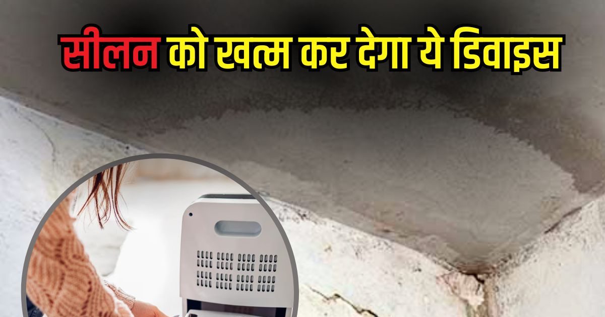 दीवार की सीलन को कम कर देगा ये छोटा सा डिवाइस! पंखे के साथ ऑन करने पर